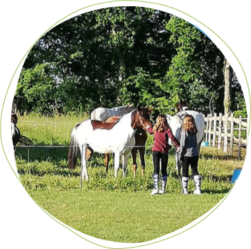Photo prise en extérieur près du Mans : 2 jeunes filles de dos, caressant le bout du nez d’un poney