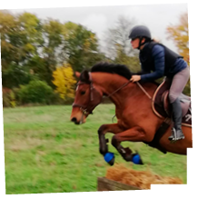 Cavalière et son poney pris de profil lors d’un saut d’obstacles en pleine nature en Sarthe